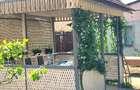 Casa solida, evreiasca , Sacuieni, gradina mare - 11