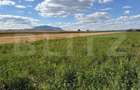 Teren intravilan, Puz aprobat parcele intre 500 - 700 mp