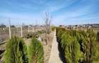 Vand teren in Mirila - 3 km de oras Bals - 2