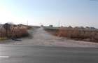 Inchiriez sau vand teren Halchiu - 3