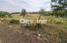 Teren intravilan 2170 mp la drum asfaltat - Chicerea - 2