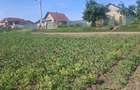Teren de 6500 mp, în Popești - 1