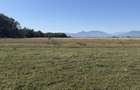 Teren 883 mp , Harman, Valea Mare, langa rezerva?ie, vedere la munte