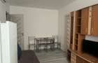 Apartament de inchiriat, 2 camere, cart Dealul Florilor - 6
