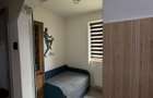 Apartament 2 camere P.Tineretului - 3
