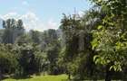 Pensiune de 11 camere, 650 mp, zona Sohodol-Bran - 2