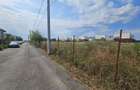Teren intravilan 6.700 mp, langa Nusco, toate utilitatile