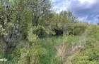 Teren extravilan de vanzare, 2.670 mp, Bistrita