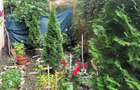 Apartament cu 3 camere in Cehu-Silvaniei - 8
