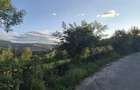 Teren de 2700 mp, în Valea Doftanei