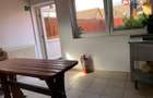 Spatiu de inchiriat de 47 mp, zona Carani - 3