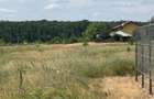 Vand teren intravilan Branesti 1036 mp direct proprietar - 7