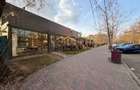 Spatiu Comercial  *731mp* / VAD stradal 31m / 19 locuri de parcare // Unirii - 3