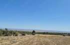 Vand teren extravilan 3 ha Livada Mare, Comuna Grebanu, jud Buzau - 6