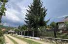 Teren intravilan Slanic Prahova 300mp - 4