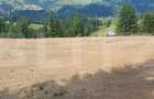 Teren 18.933 mp, parcelabil, zona Vatra Dornei - 8