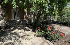 Casa Albesti 3 camere teren 357 mp - 3