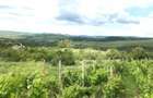 Vand teren Extravilan Buzau - Panorama de vis