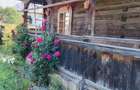 Casa traditionala si teren in s.f de 679 mp, Vadu Izei - 14