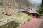Oaza de liniste: casa + padure pana pe creasta muntelui - 6