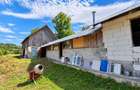 Vand proprietate cu teren Sohodol Alba - 7