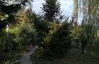 Casa + anexa locuibila + curte, gradina, padure peste 5000 mp - 7