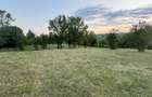 Teren de vanzare extravilan - 5
