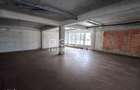 Spatiu Comercial 305 mp+ gradina 178mp, Bieltz/Turnisor - 5