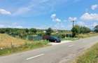 Teren 3100 mp cabana potential investitional Sura Mica Sibiu - 1