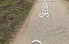 Proprietar Teren Intravilan 983 mp Chitila (Sos. Banatului ) Toate utilitatile in curte - 4