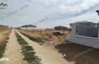 Teren Intravilan Gaz, Curent Electric intre case Vidra Comuna Berceni - 2