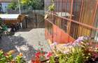 Casa renovata 5 camere de vanzare in locaitatea Mandra jud. Brasov - 2