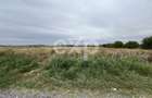 Teren industrial premium 15.000 mp la DN61 langa Centura Gaesti acces - 10