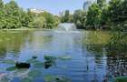 Parcul Circului x Lacul Tei strada adiacenta cu acces direct in parc - 9