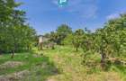 Casă individuală zonă centrală - teren 940 mp