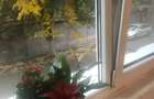 Apartament spatios cu o camera, de inchiriat - 4