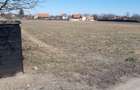 Teren intravilan construibil utilitati asfalt central Lunca Calnicului - 3