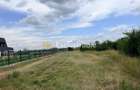 TEREN INTRAVILAN 1.374 MP | BRADU | POTENȚIAL INVESTIȚIONAL - 1