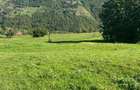 vand teren Muntele Rece - 3