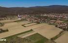 Loc de casa in Odvo? - Conop 3000mp - 6