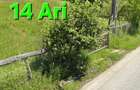 Vand teren intravilant - 3