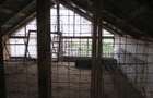 Gospodarie-4 cladiri-teren 2900mp-zona Vetel - 6