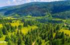 Natura 18.900 mp in Sacele, cu rau ?i priveli?te montana