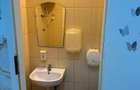 Inchiriere Vila 325 mp | Timpuri Noi | 9 camere + curte 800 mp - 8