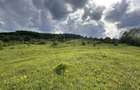 Se vinde Proprietate Premium 11,5 ha teren intravilan si constructii - 6