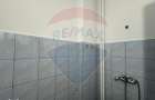 Apartament cu 1 camere de inchiriat in zona Micalaca - 7