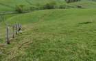 Teren 6000mp Maguri-Racatau, parau, utilita?i. Schimb Flore?ti - 1