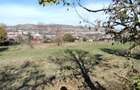 Teren intravilan 3.798 mp in Agnita, cu posibilitate de parcelare - 2