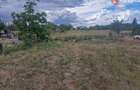 Teren intravilan de 1493 mp cu utilitati - Ianova - Ianova (Timis) - 5