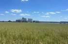 Vand teren in zona industriala, Santandrei, 23.500 mp - 6